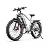 DUOTTS F26 Lite Electric Bike
