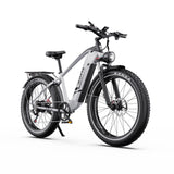 DUOTTS F26 Lite Electric Bike
