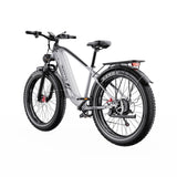 DUOTTS F26 Lite Electric Bike