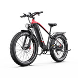 DUOTTS F26 Lite Electric Bike