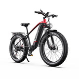 DUOTTS F26 Lite Electric Bike