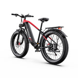 DUOTTS F26 Lite Electric Bike