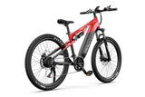 DUOTTS E29 Electric Bike