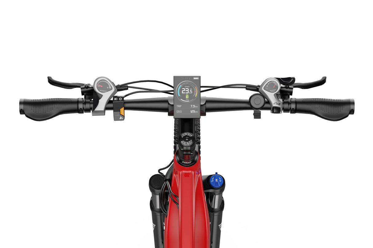 DUOTTS E29 Electric Bike