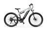 DUOTTS E29 Electric Bike