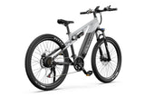DUOTTS E29 Electric Bike