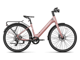 Heybike EC 1-ST Pedelec Electric Bike