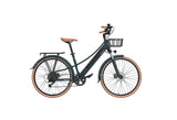 EMotorad Plymouth Electric Bike