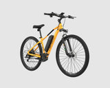 EMotorad T-Rex Air EBike