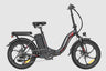 Fafrees F20 Plus Folding Electric Bike