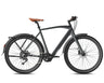 Fafrees F700M Electric Bike
