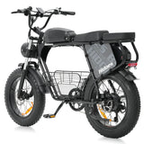 Hidoes B9 Electric Bike