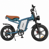 JANSNO X60 Dual Motor Electric Bike
