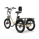 OneSport OT30 Pro Electric Cargo Tricycle