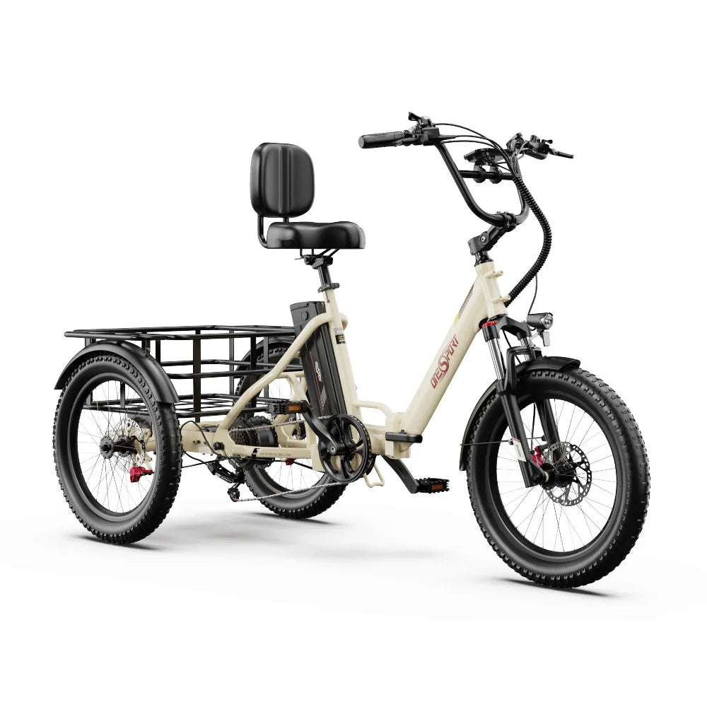 OneSport OT30 Pro Electric Cargo Tricycle