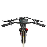 OneSport OT30 Pro Electric Cargo Tricycle