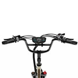 OneSport OT30 Pro Electric Cargo Tricycle