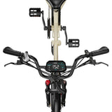 OneSport OT30 Pro Electric Cargo Tricycle