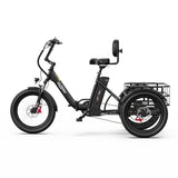 OneSport OT30 Pro Electric Cargo Tricycle