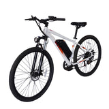 PVY M29 Commuter Electric Bike