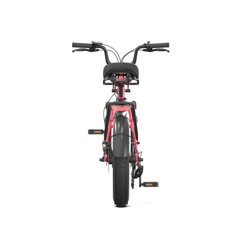 PVY LS20 Electric Bike.