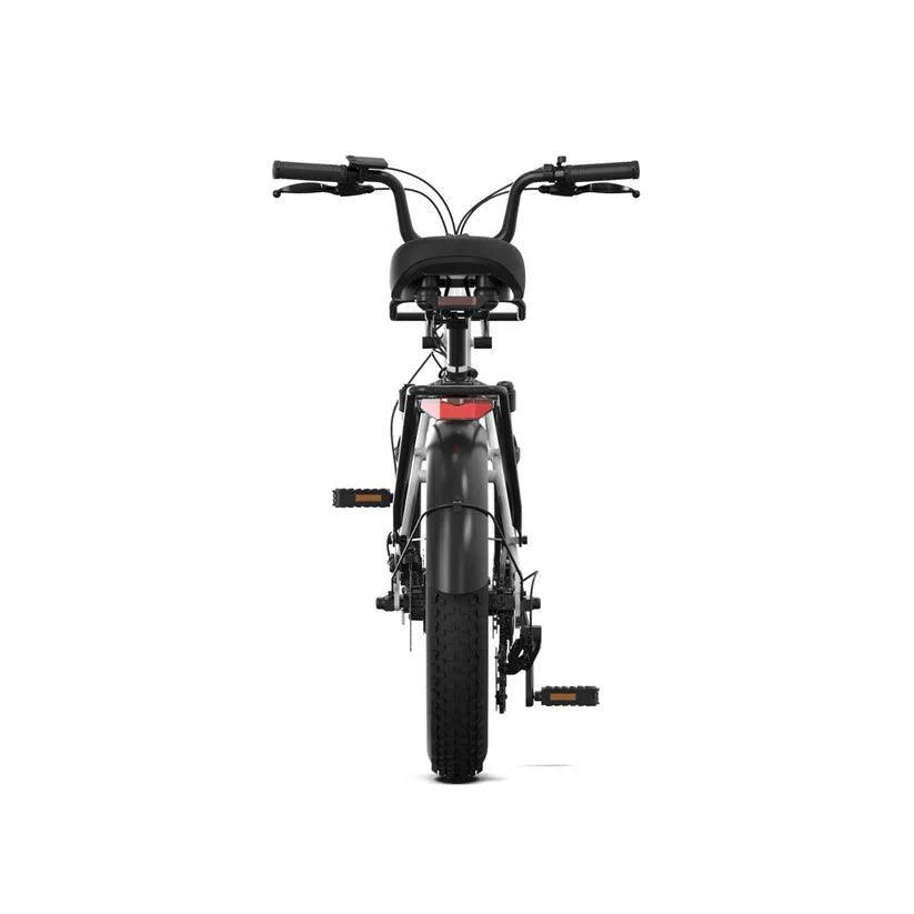 PVY LS20 Electric Bike.