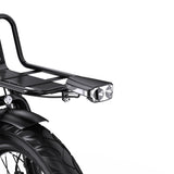 APEFOX RH30 Cargo Tricycle Bike