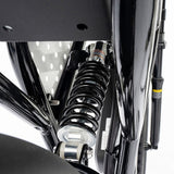 Ridstar Q20 Mini Electric Bike