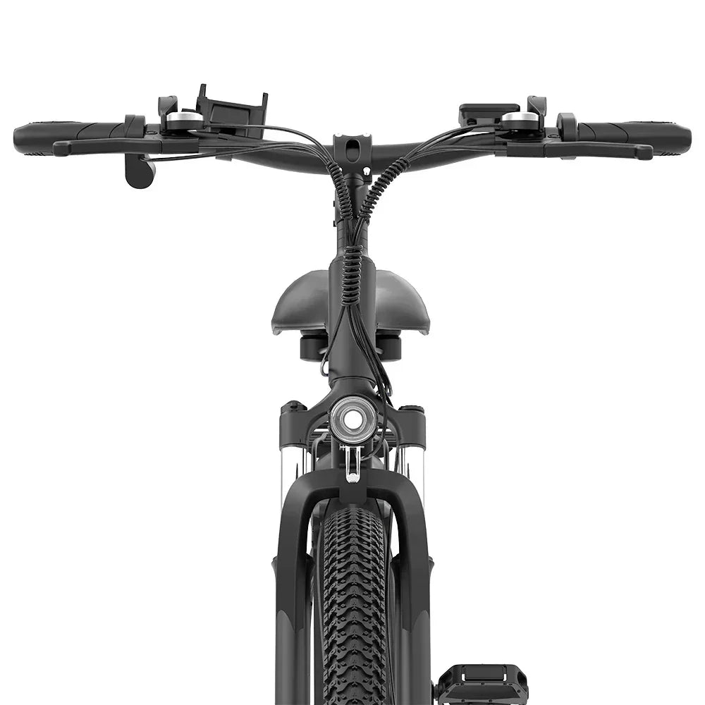 Ridstar S29 Pro Electric Mountain Bike - Preorder