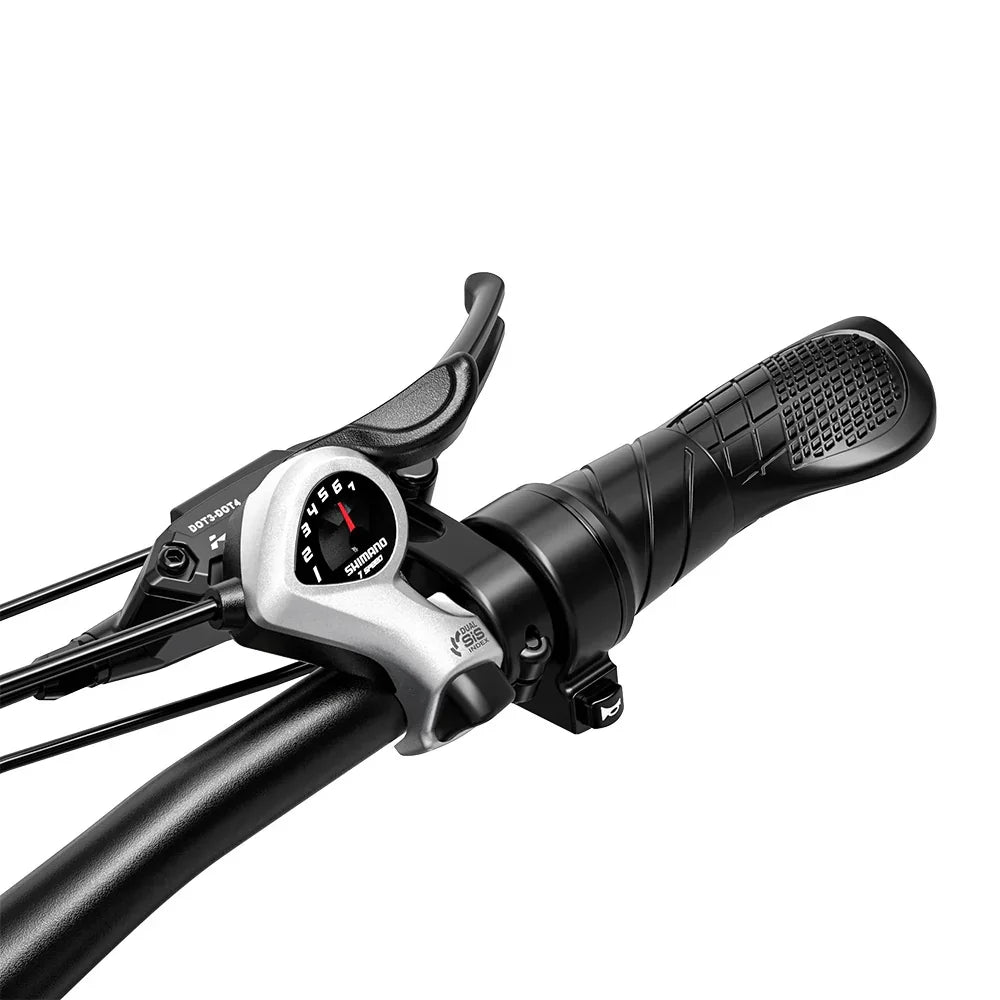 Shengmilo S900 All-Terrain Electric Bike