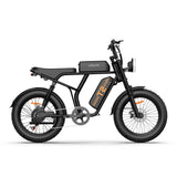 URLIFE T2 Off Road Electric Bike