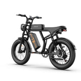 URLIFE T2 Off Road Electric Bike