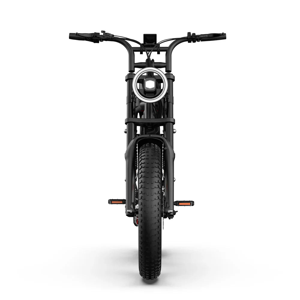 URLIFE T2 Off Road Electric Bike