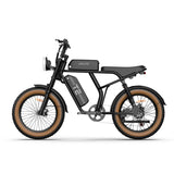 URLIFE T2 Off Road Electric Bike