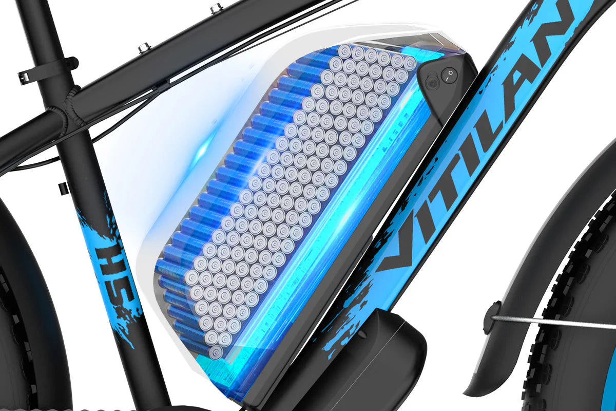 Vitilan H5 Dual Motor Electric Bike