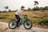 Vitilan H5 Dual Motor Electric Bike