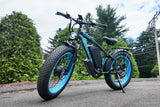 Vitilan H5 Dual Motor Electric Bike