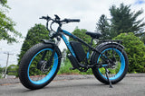 Vitilan H5 Dual Motor Electric Bike