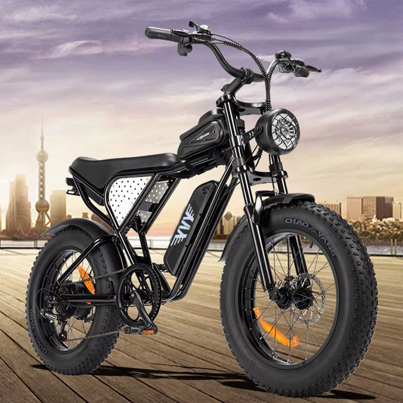 YVY C20 Lite Electric Bike