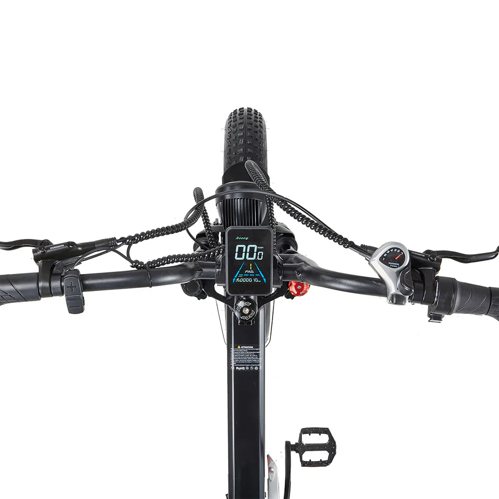 RANDRIDE YX20M-2 Dual Motor Electric Bike