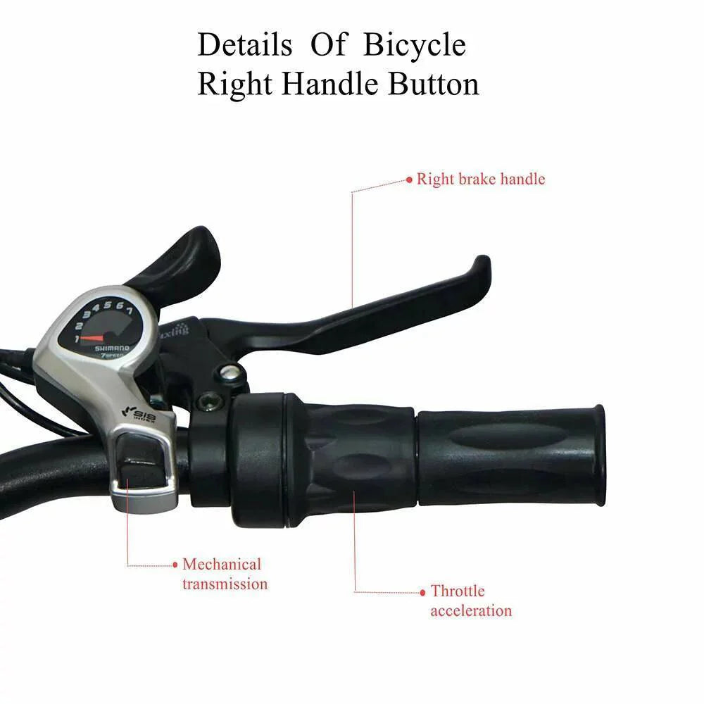 CMACEWHEEL Y20 Electric Bike
