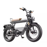 Coswheel CT20 Cargo Electric Bike