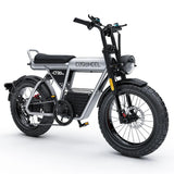 COSWHEEL CT20S Strong Power Electric Bike