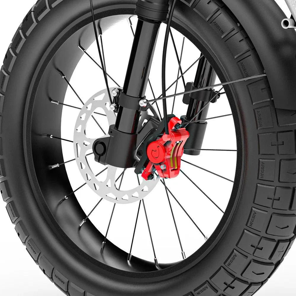 COSWHEEL CT20S Strong Power Electric Bike