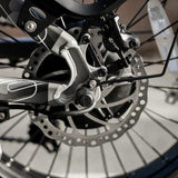 Cyrusher Ovia EEC Step-through E-Bike