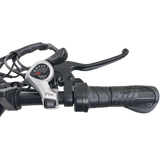 DRVETION AT20 Folding Electric Bike