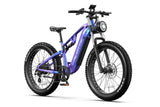 DUOTTS E26 Electric Bike