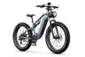 DUOTTS E26 Electric Bike