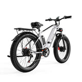 DUOTTS F26 Pro Electric Mountain Bike