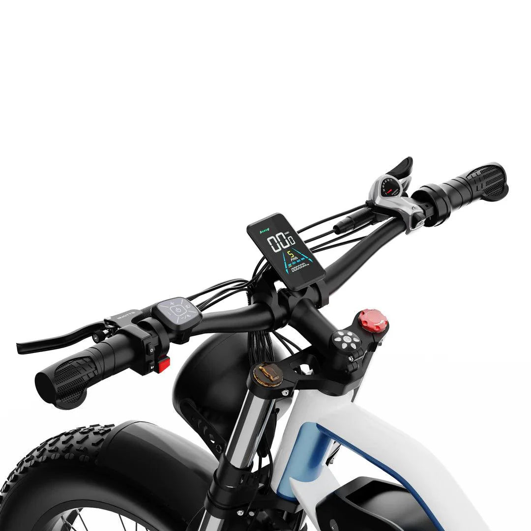 DUOTTS N26 Electric Bike